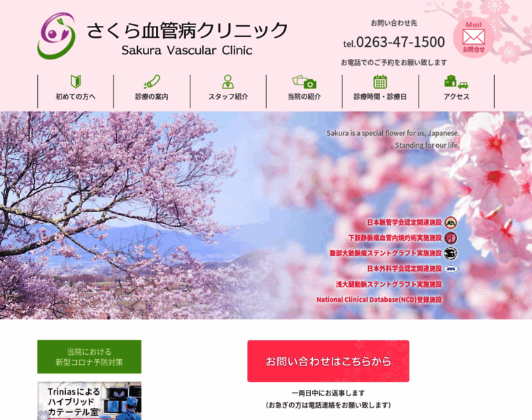 Sakura-vascular.com thumbnail