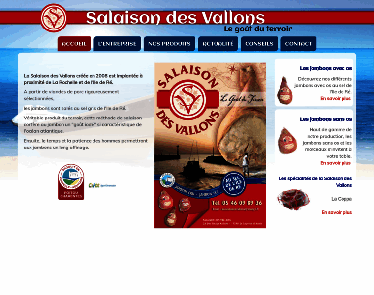 Salaisondesvallons.fr thumbnail