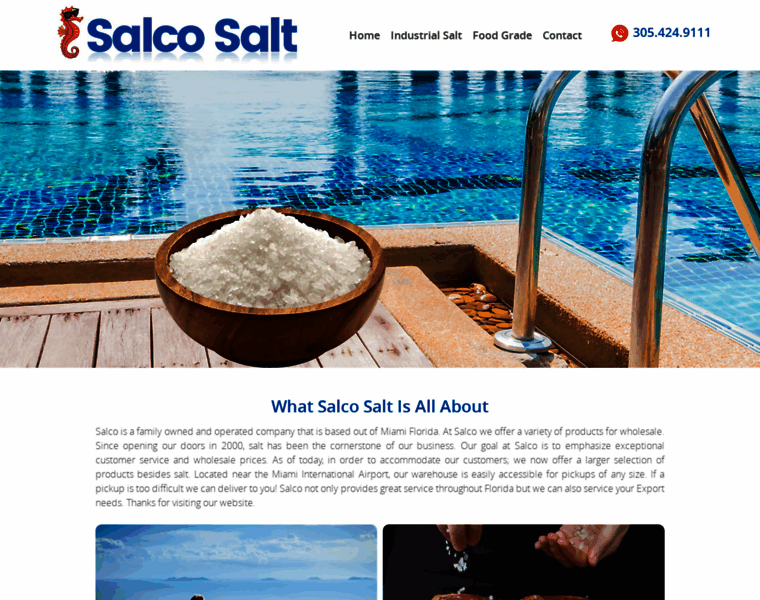 Salcosalt.com thumbnail