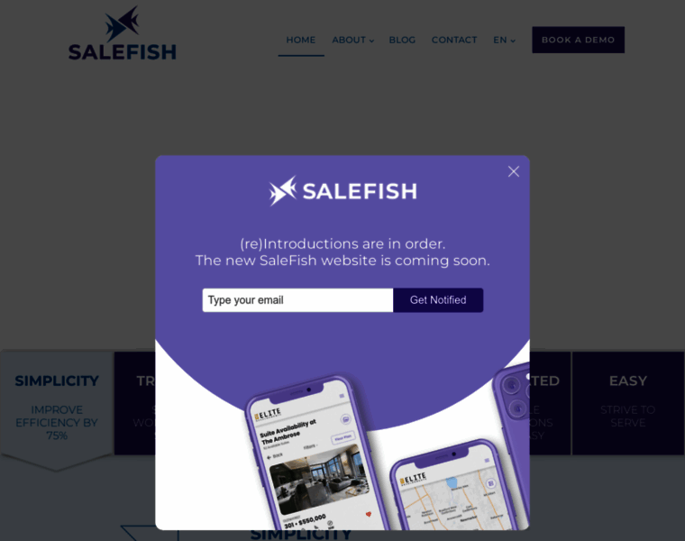 Salefishsoftware.com thumbnail