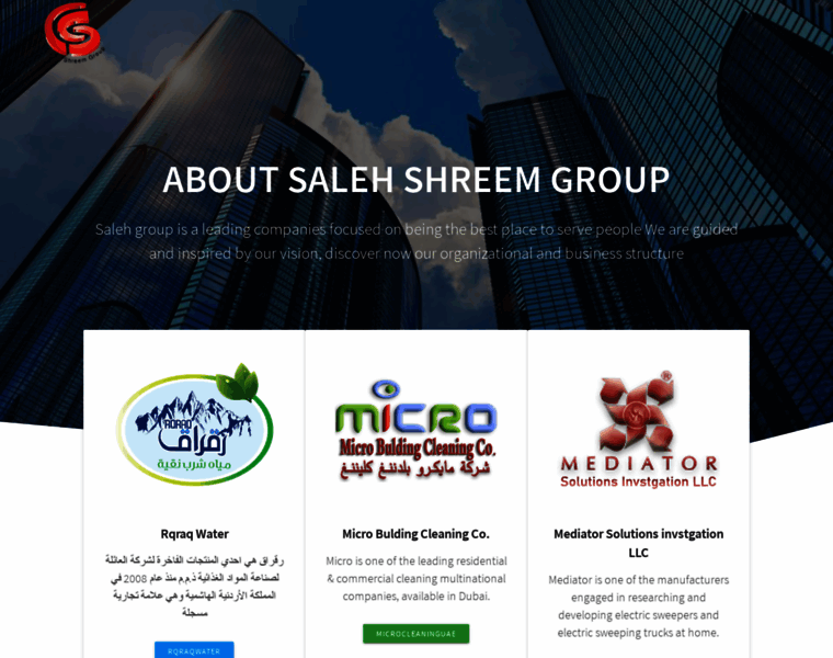 Saleh-group.com thumbnail
