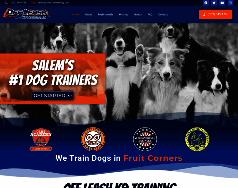Salemdogtrainers.com thumbnail
