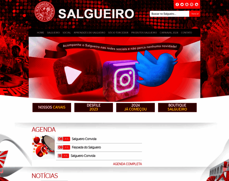 Salgueiro.com.br thumbnail