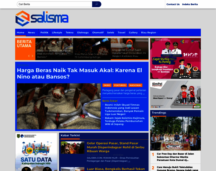 Salisma.com thumbnail