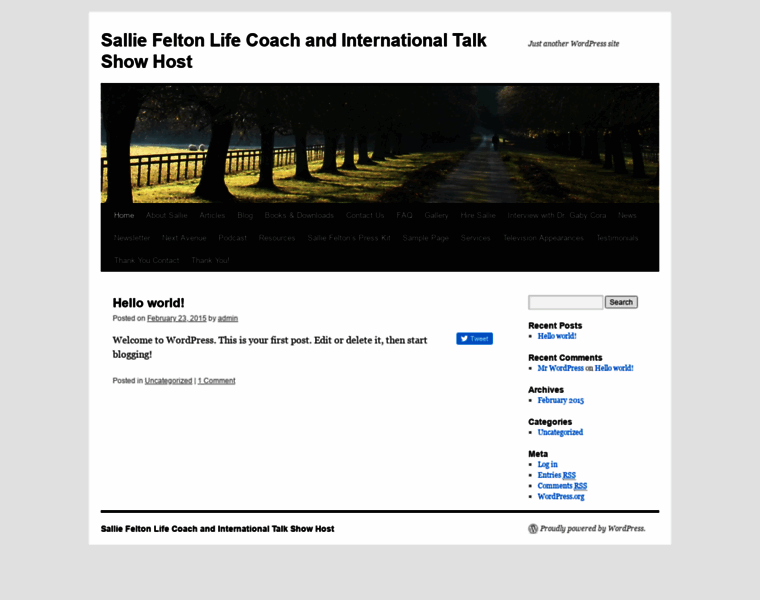 Salliefeltonlifecoach.com thumbnail