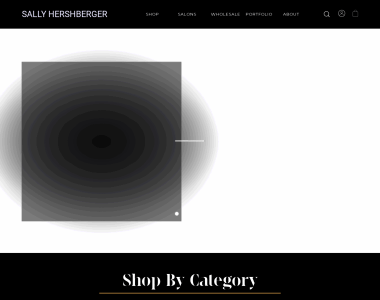 Sallyhershberger.com thumbnail