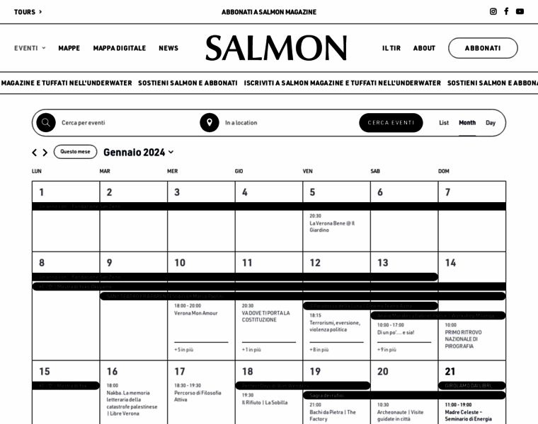 Salmonmagazine.com thumbnail
