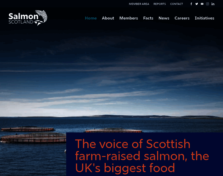Salmonscotland.co.uk thumbnail