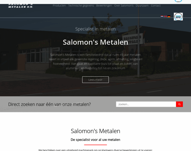 Salomons-metalen.nl thumbnail