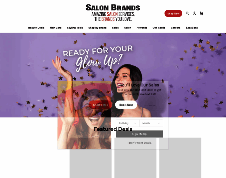 Salonbrands.net thumbnail