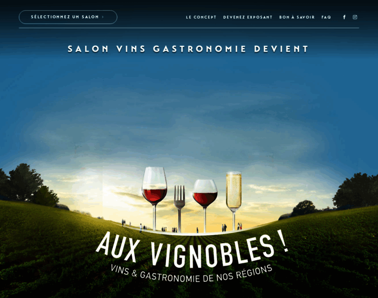 Salons-vins-gastronomie.fr thumbnail