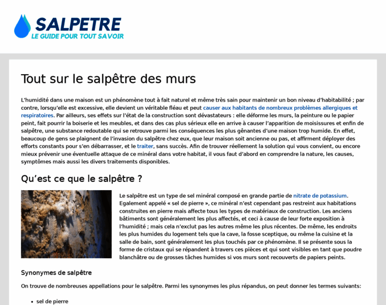 Salpetre.fr thumbnail