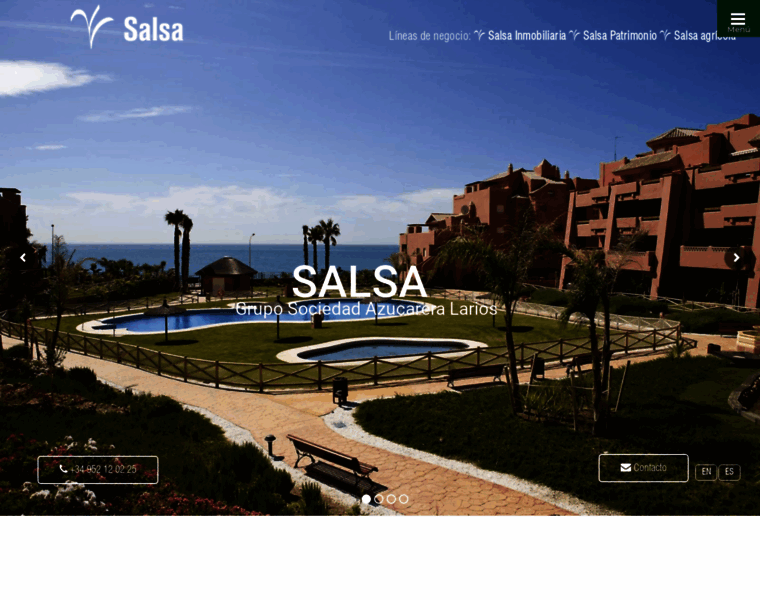 Salsa.es thumbnail