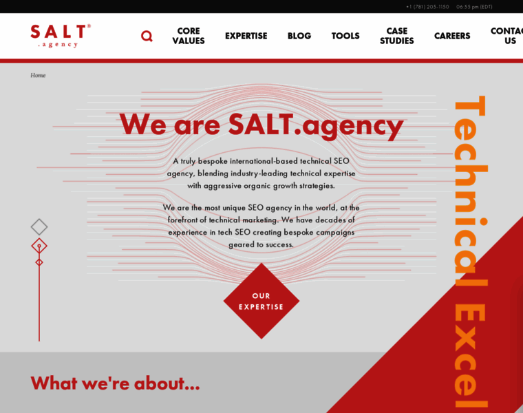 Salt.agency thumbnail