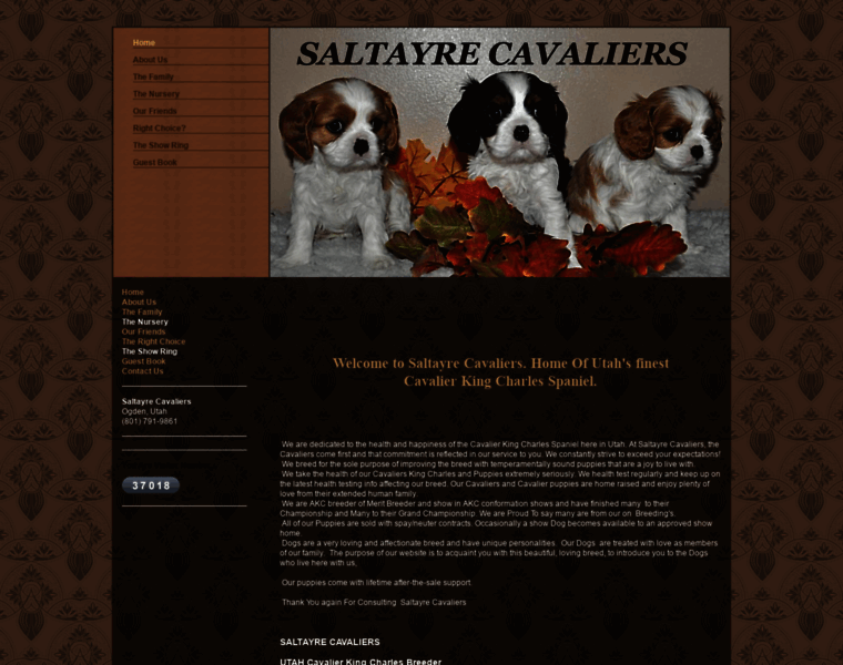 Saltayrecavaliers.com thumbnail