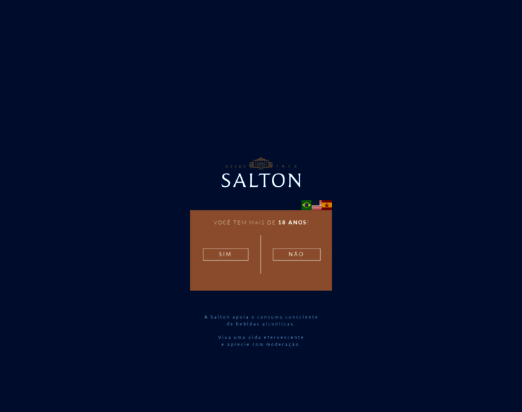 Salton.com.br thumbnail