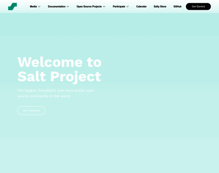 Saltproject.io thumbnail