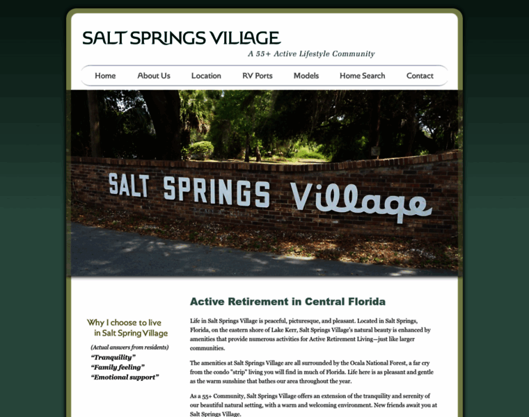 Saltsprings.com thumbnail