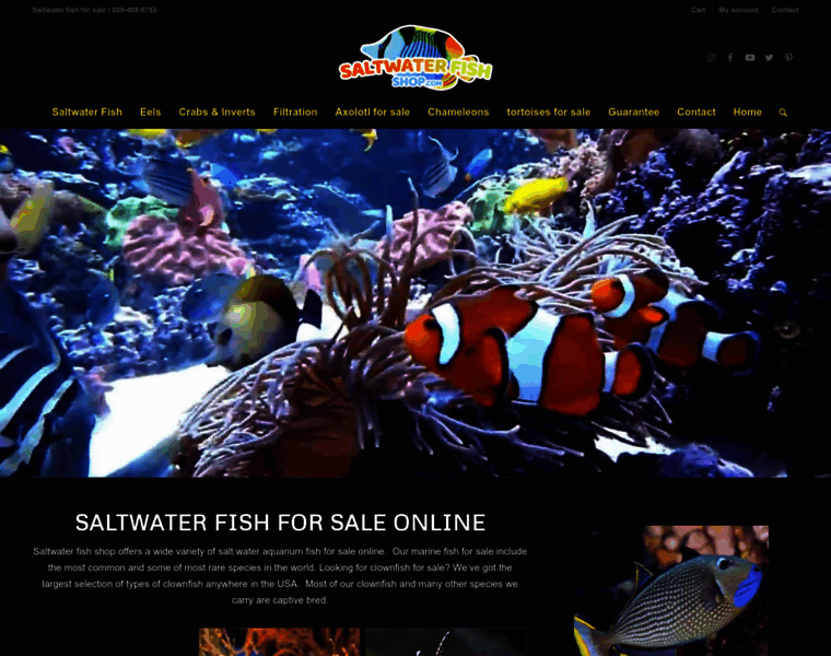 Saltwaterfishshop.com thumbnail