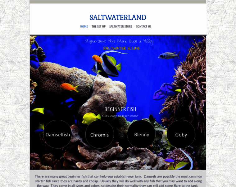 Saltwaterland.com thumbnail