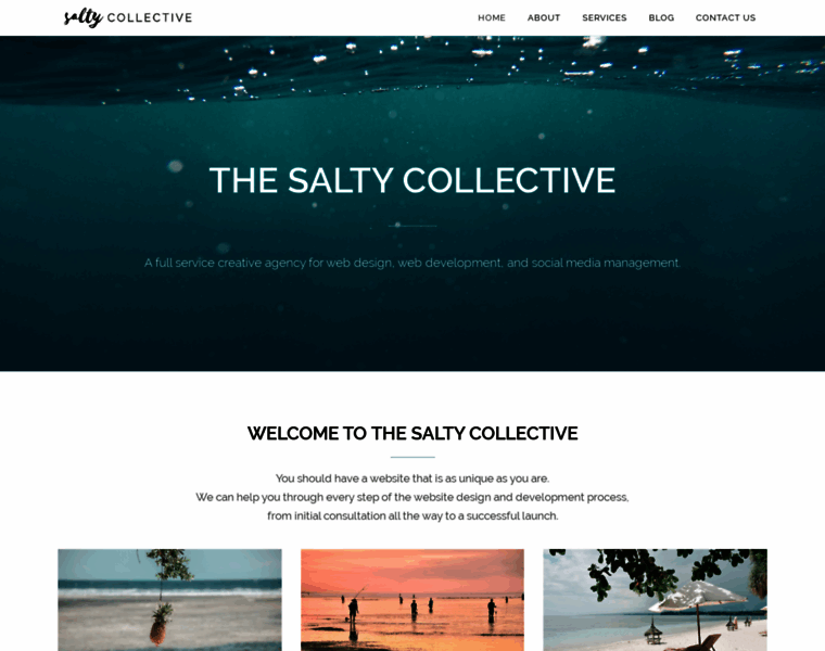 Saltycollective.com thumbnail