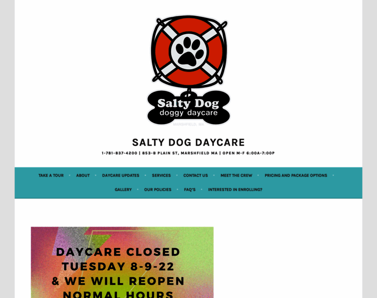 Saltydogdaycare.net thumbnail