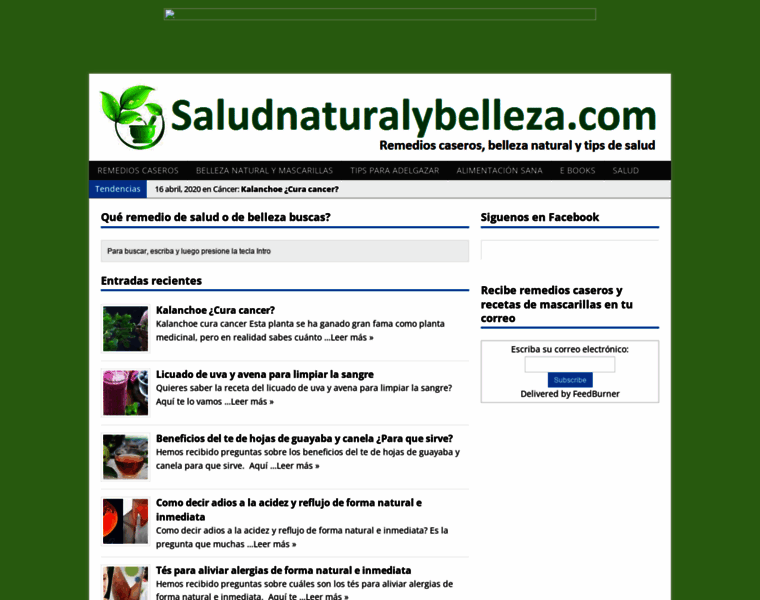 Saludnaturalybelleza.com thumbnail