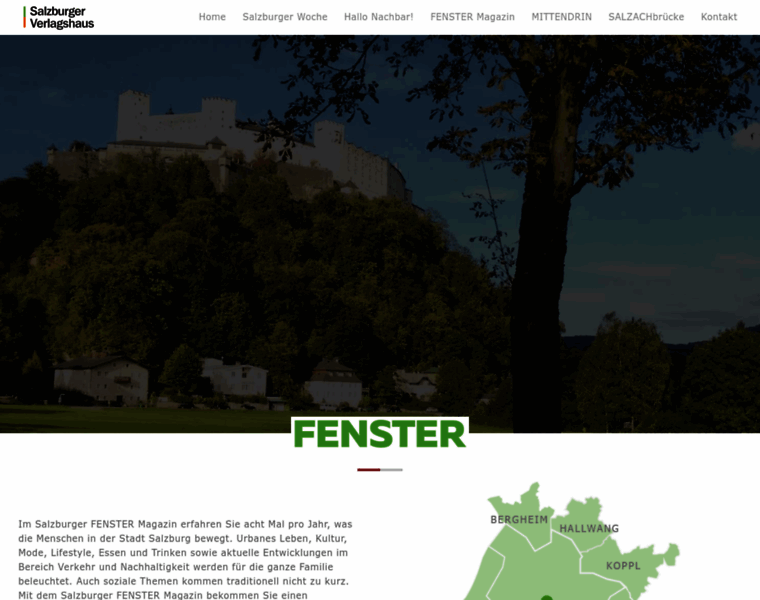 Salzburger-fenster.at thumbnail