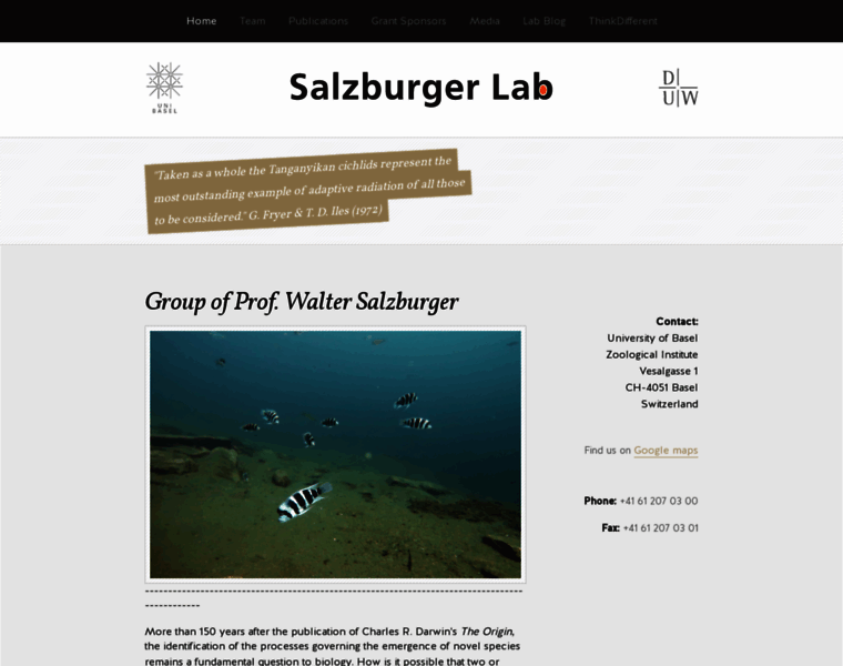 Salzburgerlab.org thumbnail