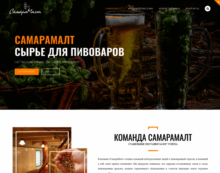Samaramalt.ru thumbnail