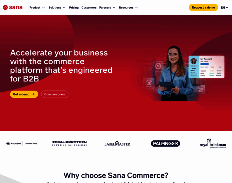 Sana-commerce.com thumbnail