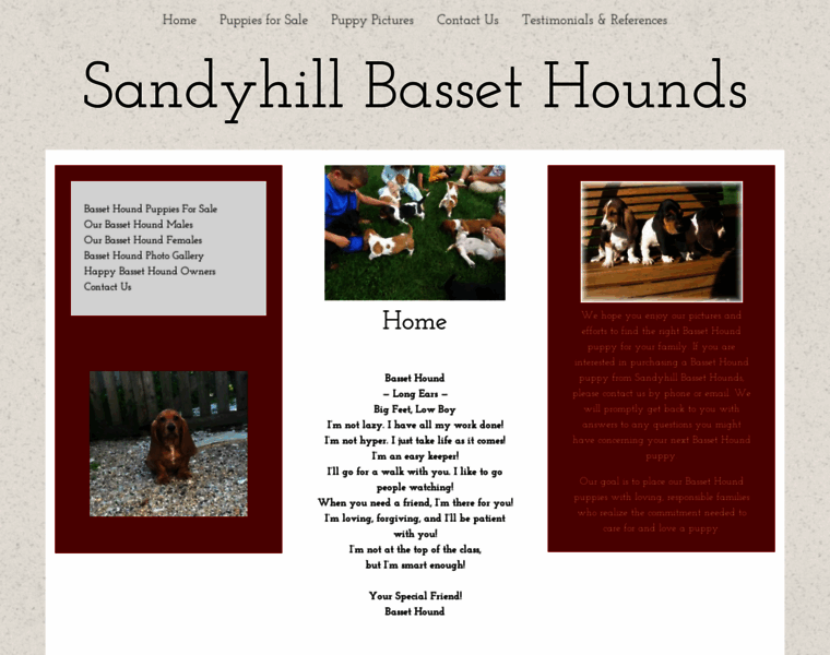 Sandyhillbassethounds.com thumbnail