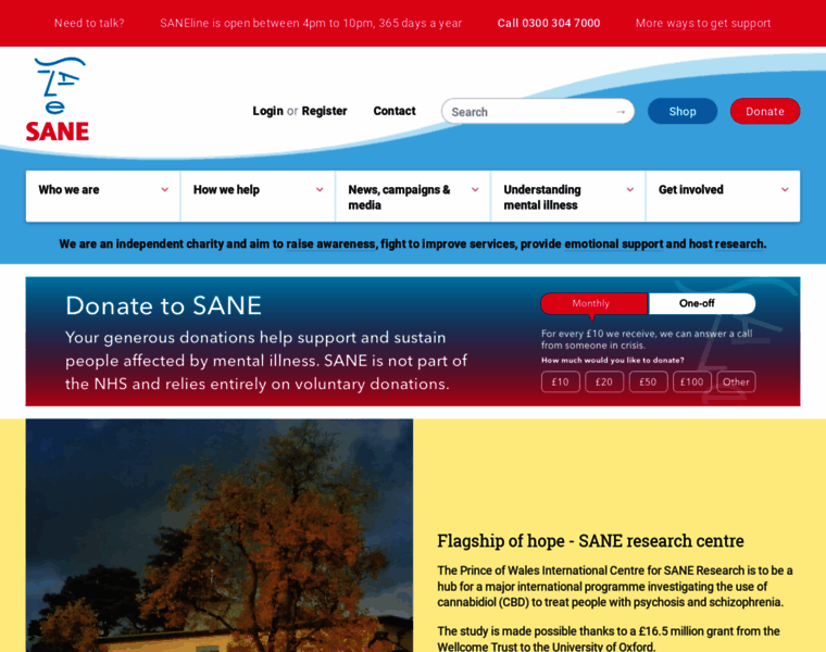 Sane.org.uk thumbnail