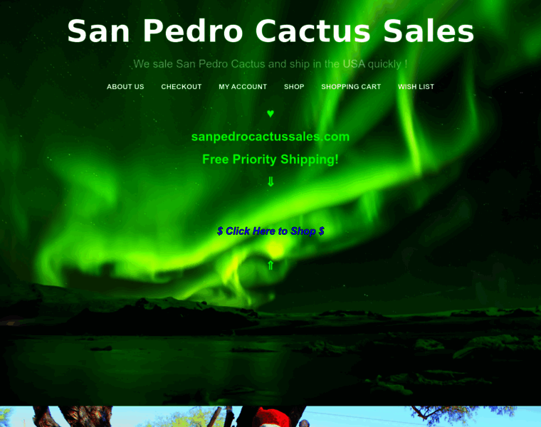 Sanpedrocactussales.com thumbnail