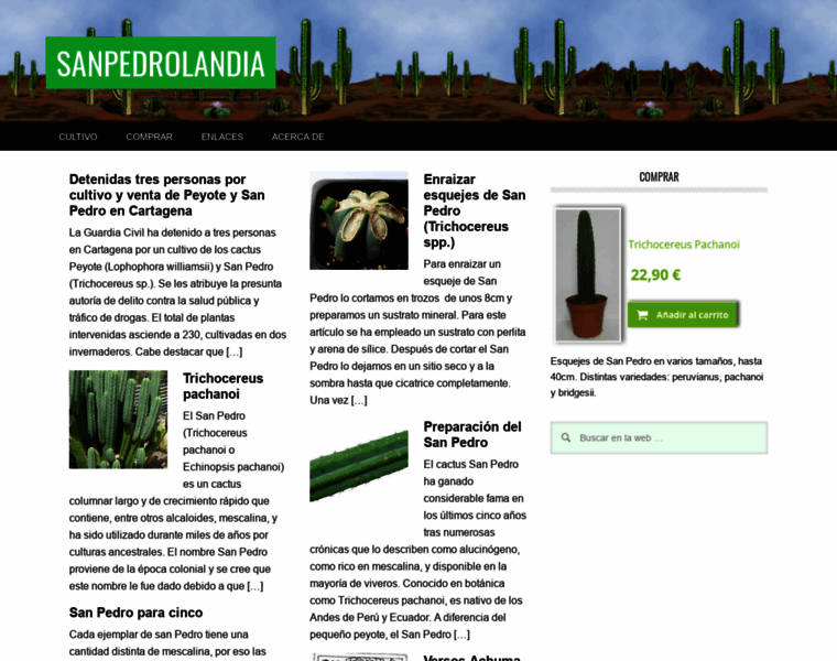 Sanpedrolandia.com thumbnail