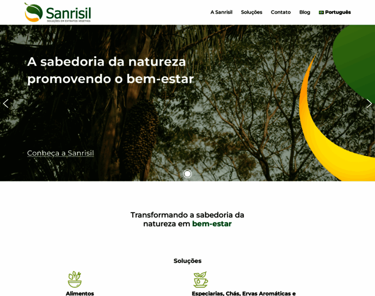 Sanrisil.com.br thumbnail