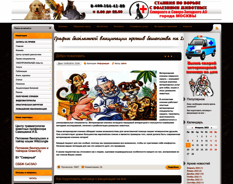 Saovet.ru thumbnail
