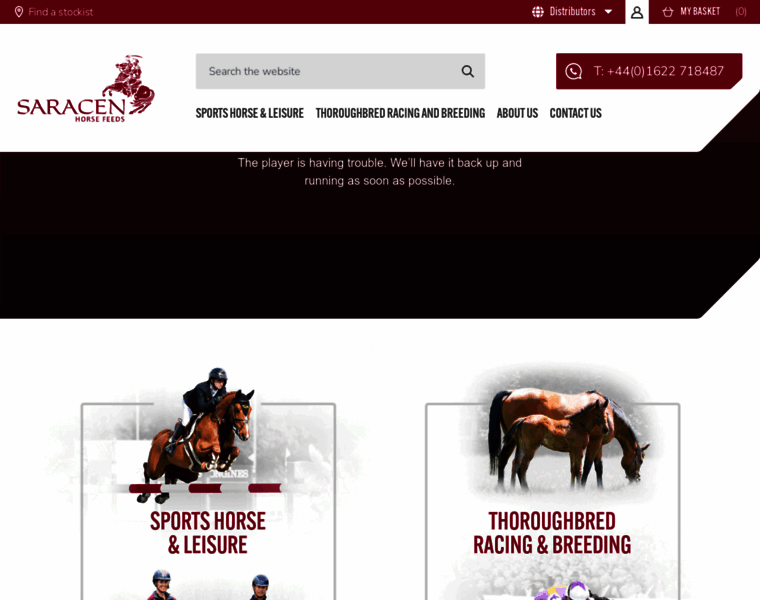 Saracen-horse-feeds.co.uk thumbnail