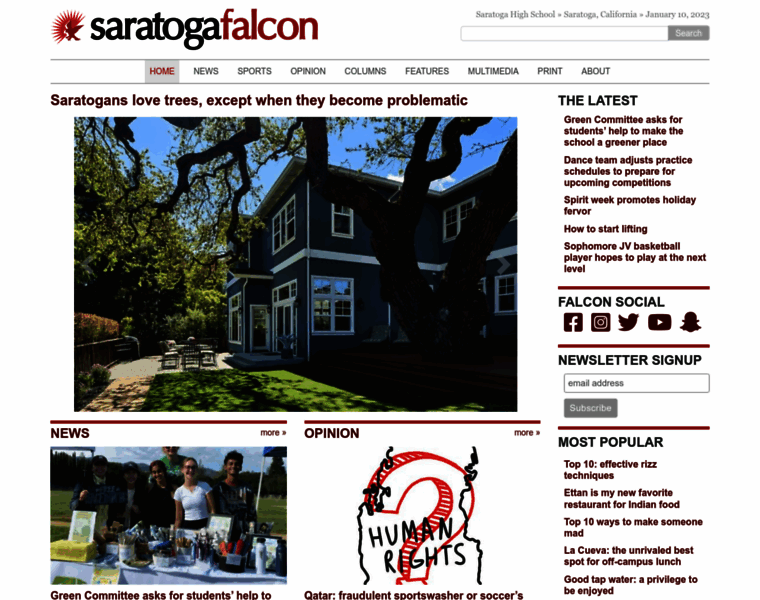 Saratogafalcon.org thumbnail