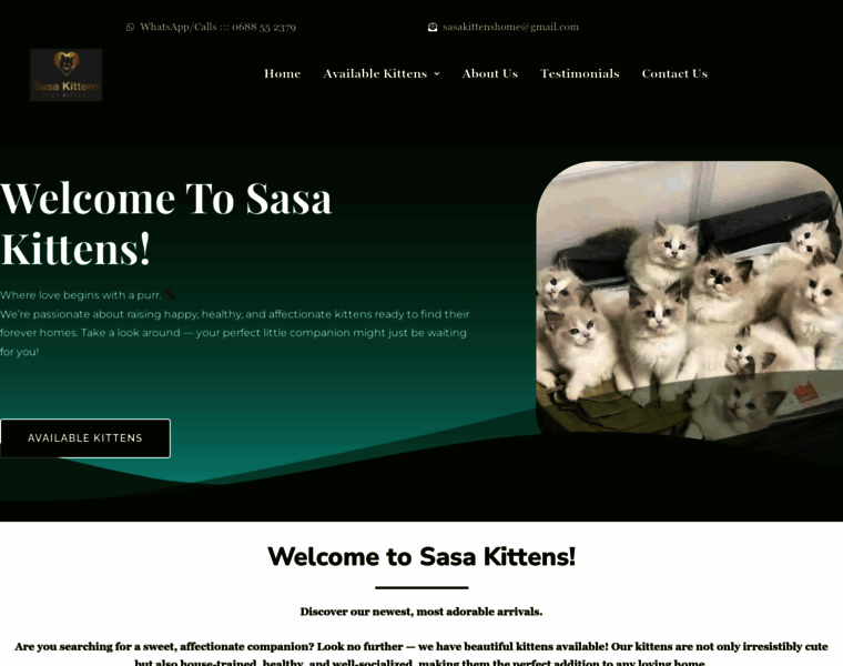 Sasakittens.co.za thumbnail Sasakittens.co.za thumbnail
