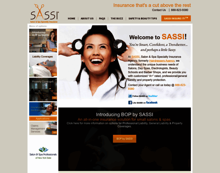 Sassiagency.com thumbnail