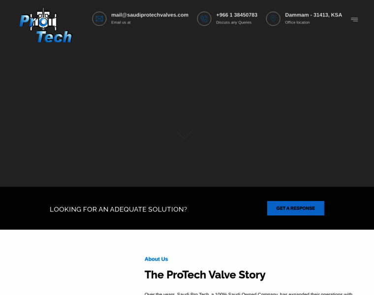 Saudiprotechvalves.com thumbnail Saudiprotechvalves.com thumbnail