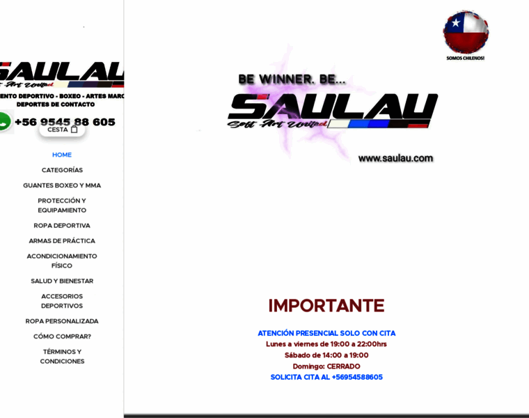 Saulau.com thumbnail