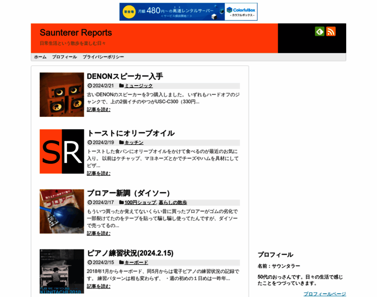 Saunterer-reports.com thumbnail