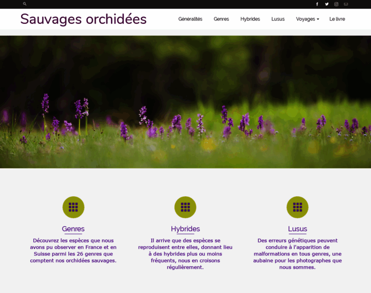 Sauvagesorchidees.com thumbnail