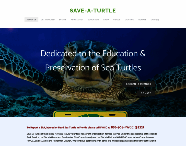 Save-a-turtle.org thumbnail