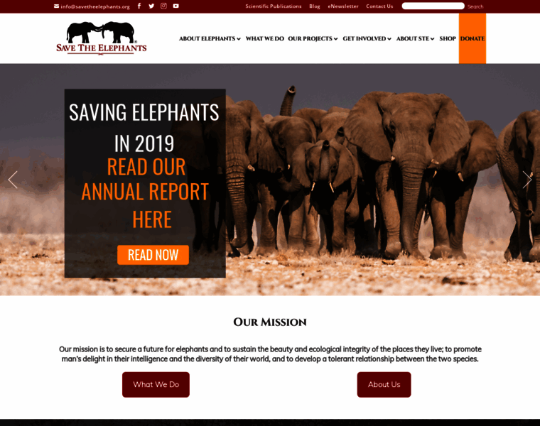 Save-the-elephants.org thumbnail