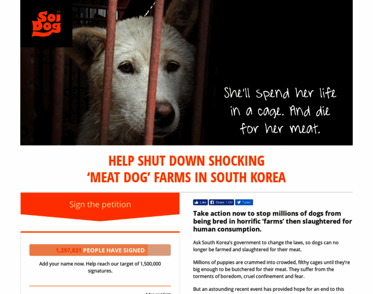Savekoreandogs.soidog.org thumbnail