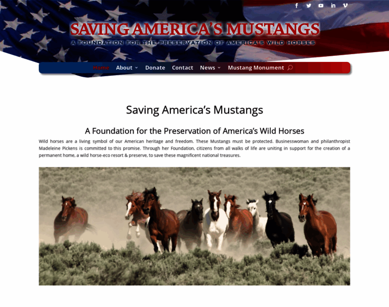 Savingamericasmustangs.org thumbnail