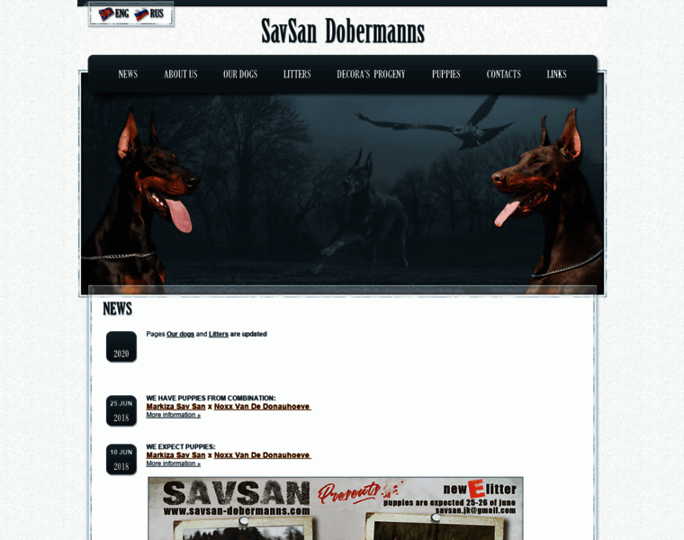 Savsan-dobermanns.com thumbnail